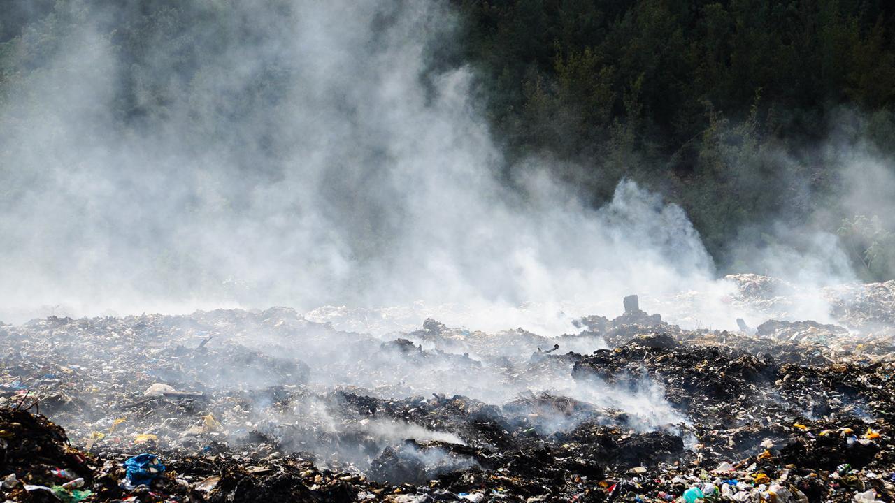 WhatsApp Image 2026 03 06 At 2.17.48 PM